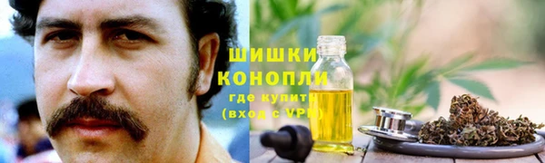 прущие грибы Арсеньев