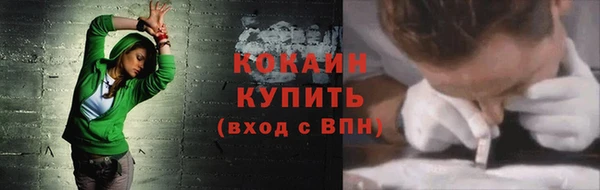 прущие грибы Арсеньев