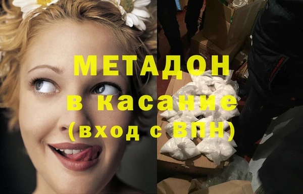 прущие грибы Арсеньев