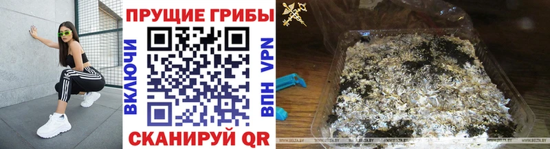 Псилоцибиновые грибы MAGIC MUSHROOMS  Магас 
