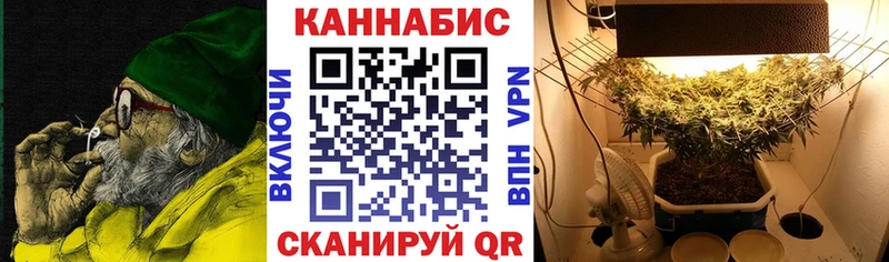 купить наркотики цена  Магас  Конопля планчик 